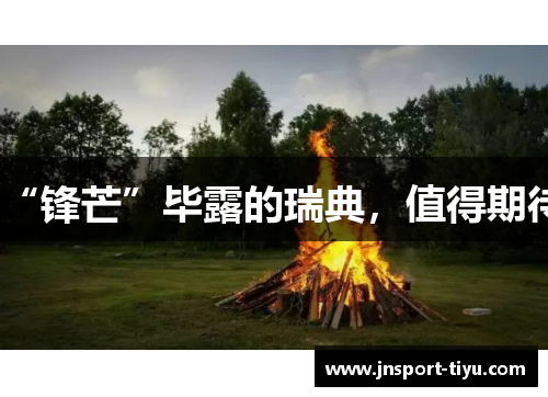 “锋芒”毕露的瑞典，值得期待